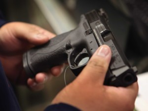Gun